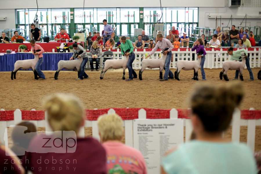 Indiana State Fair 2016. Indiana Fairs & Festivals