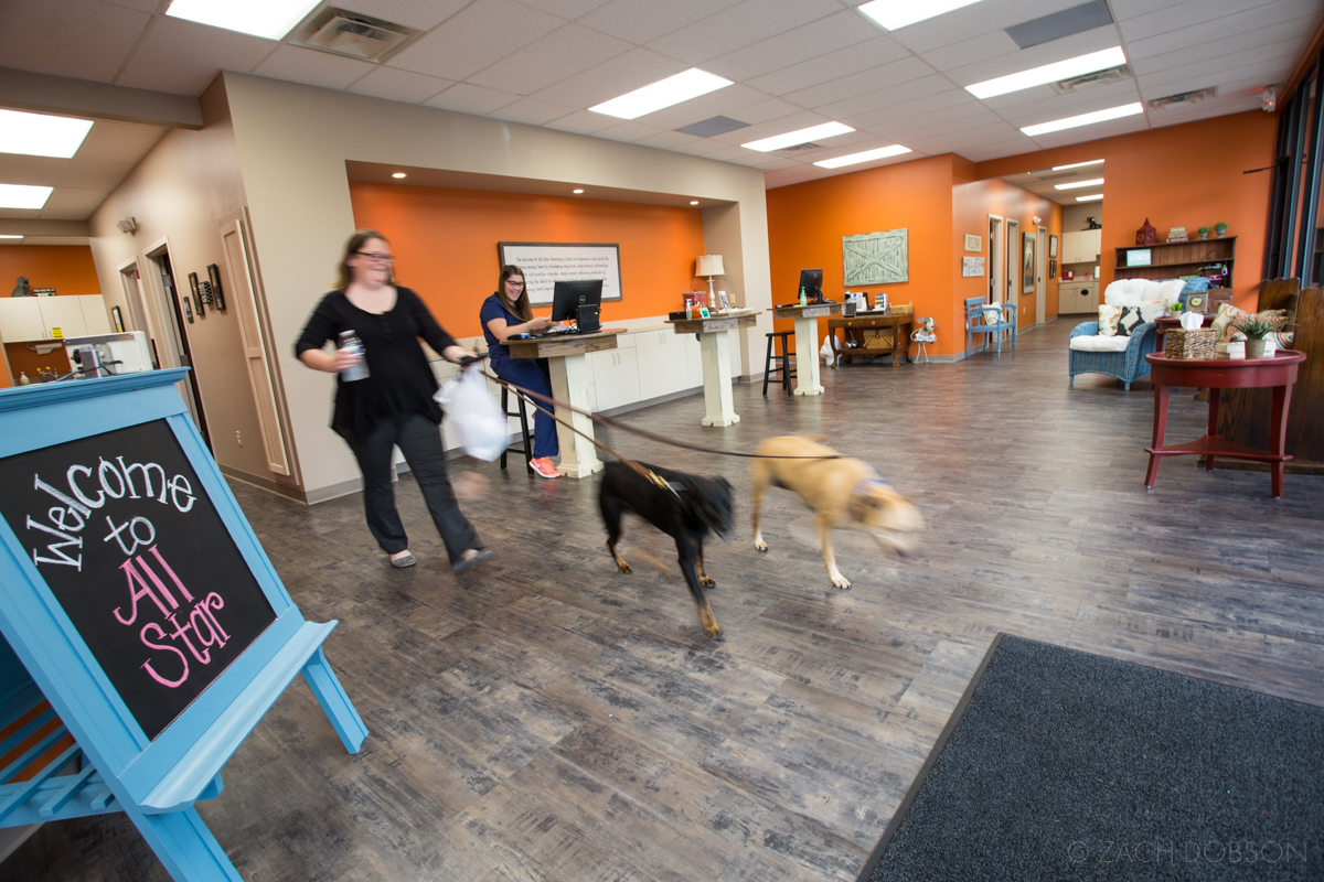 All-Star Veterinary Clinic Westfield Indiana