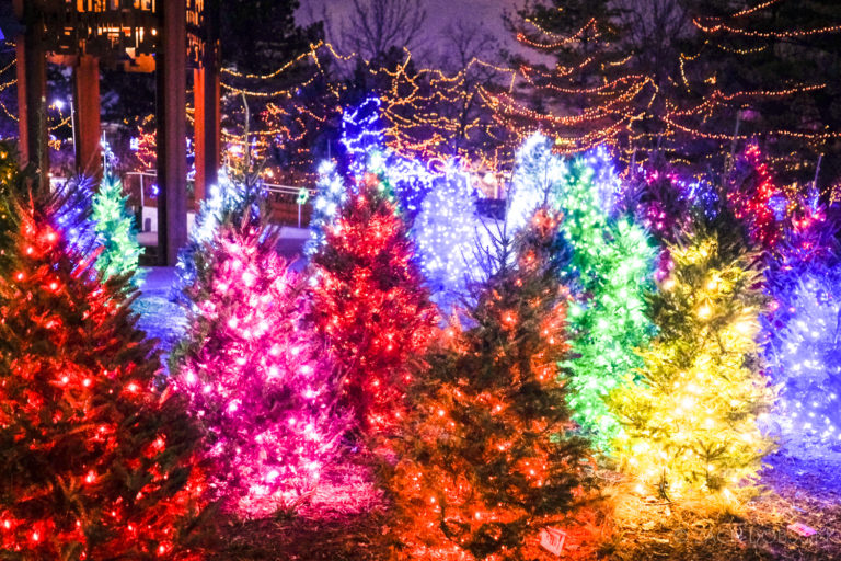 Christmas at the Indianapolis Zoo