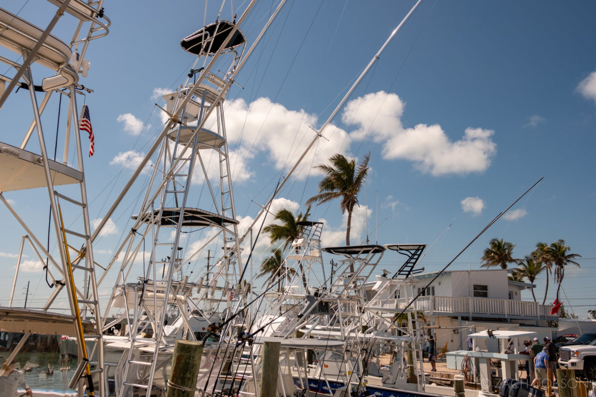 Islamorada-Boats-Marina