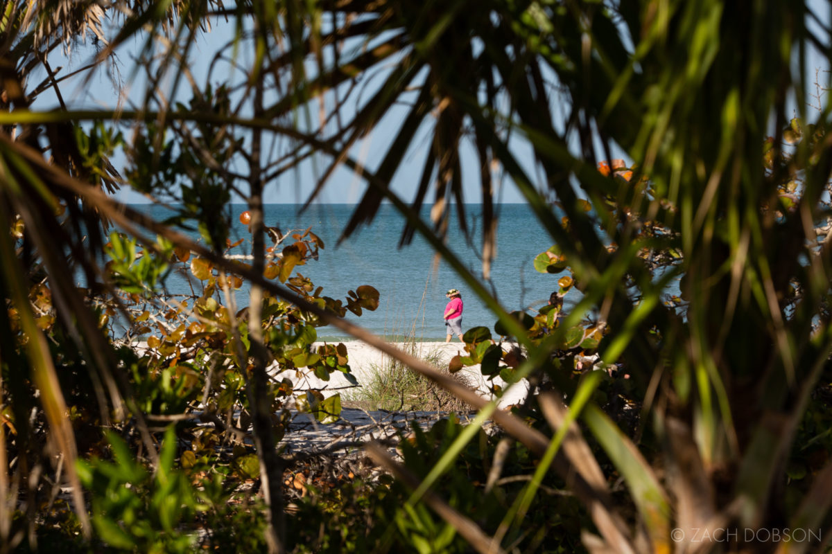 barefoot-beach-preserve-florida