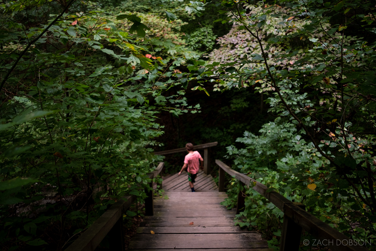 turkey run state park indiana hiking