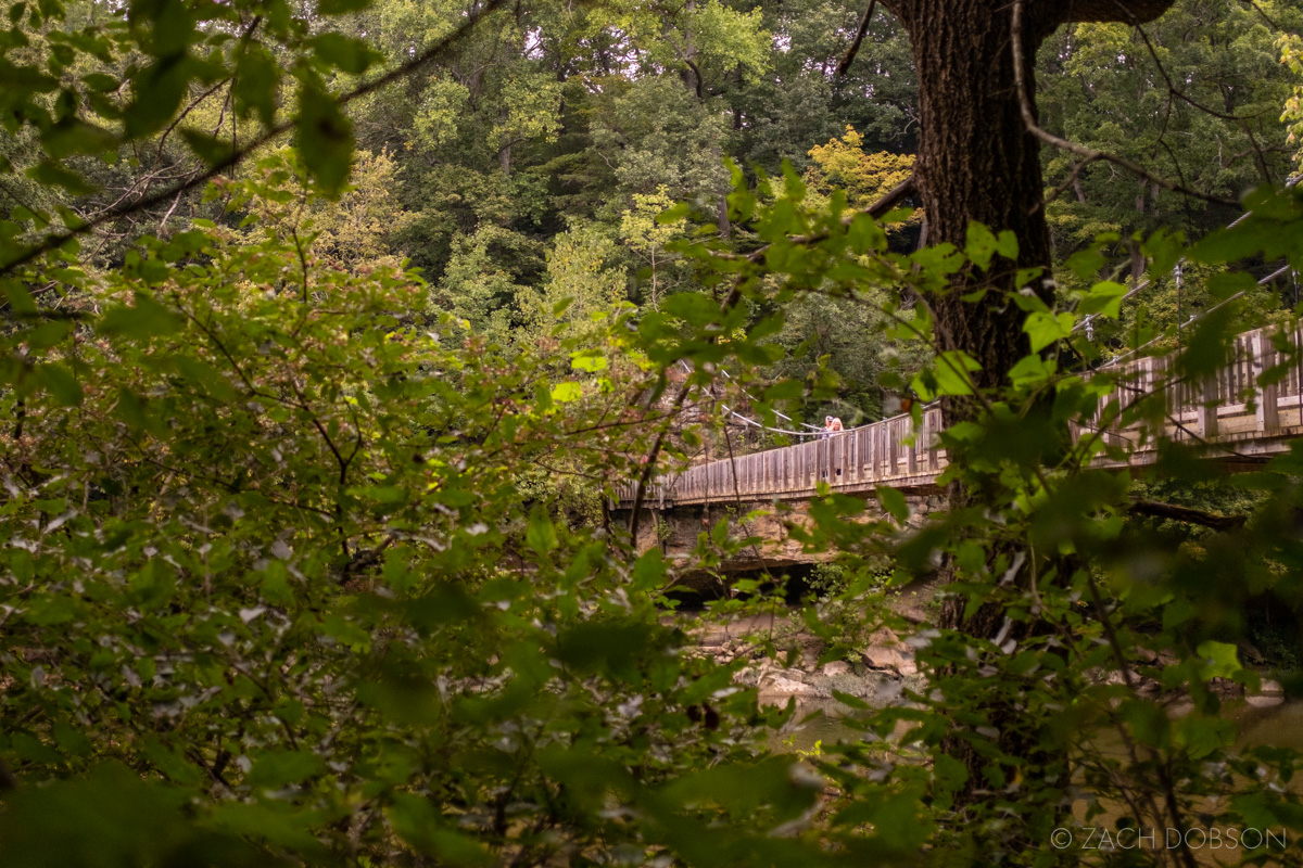 turkey run state park indiana hiking