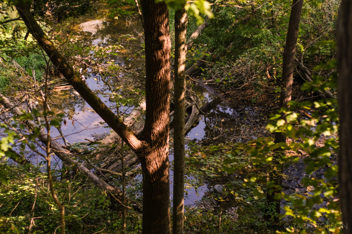 Flat Fork Creek Park Fishers Indiana