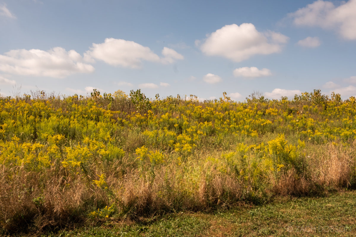 Flat Fork Creek Park Fishers Indiana