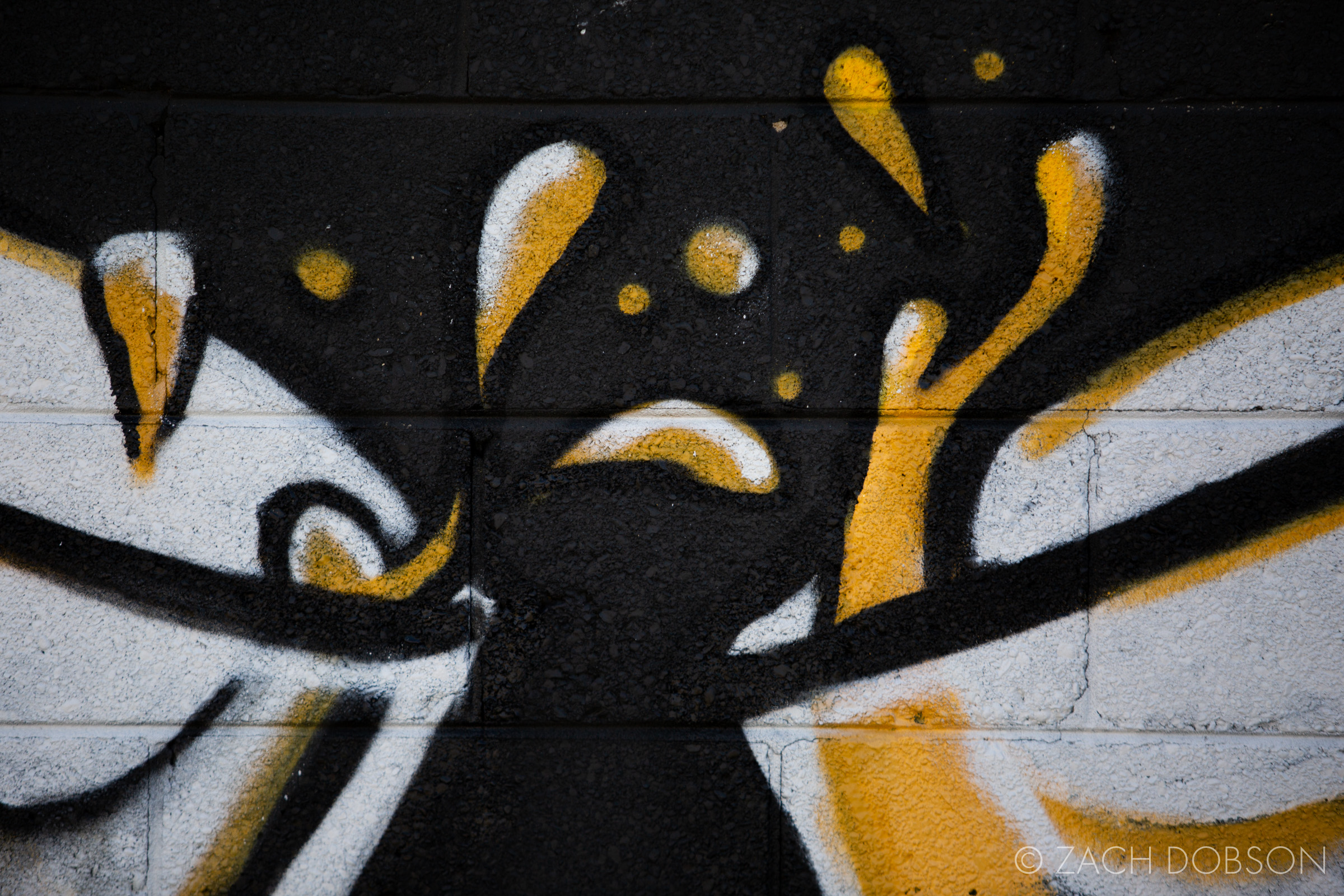 aaron scamihorn artist indianapolis graffiti