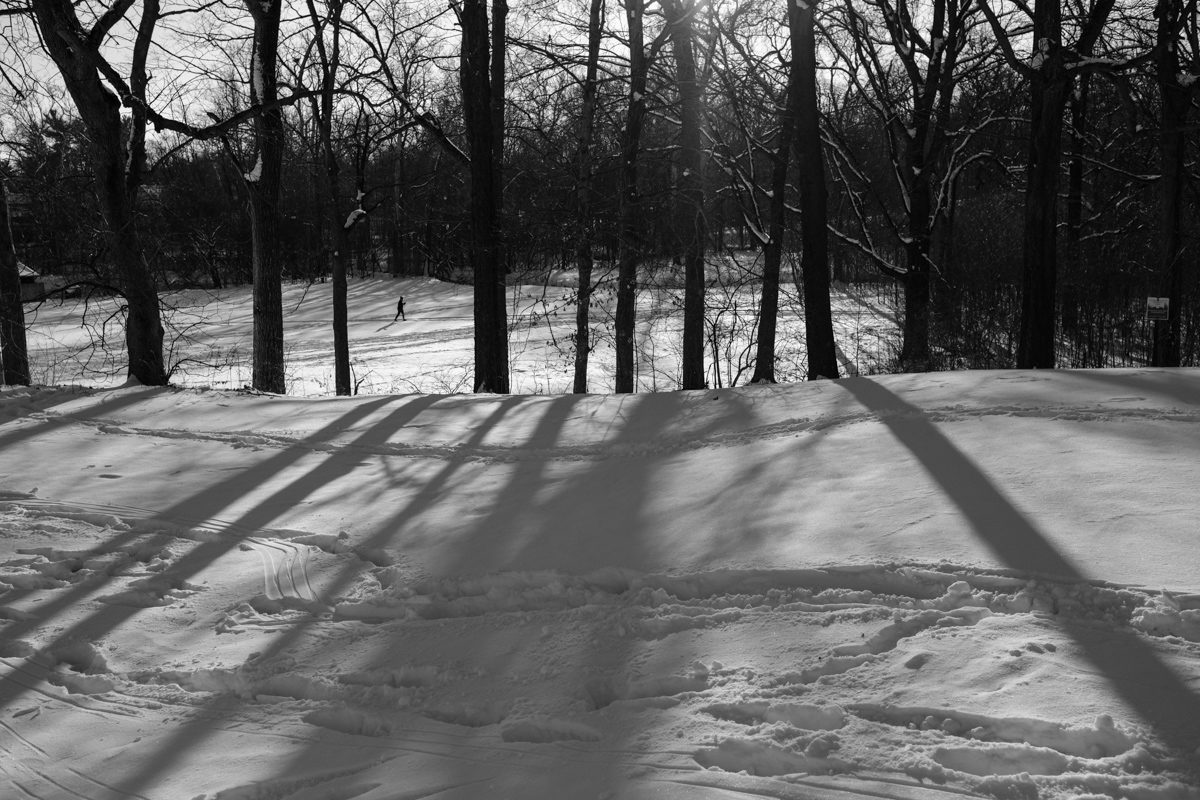 shadows on snow with cross country skier in the background