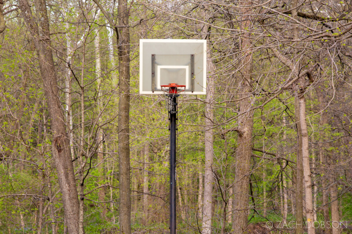 indiana basketball hoop by a forest in spring