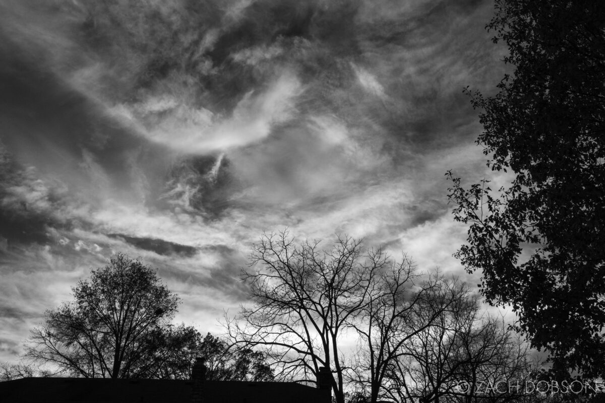 cloudy sky in spring in black and white