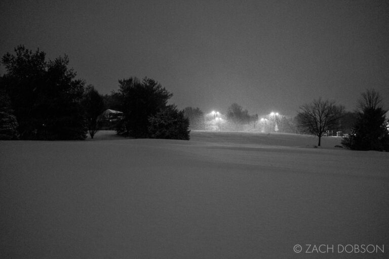 Moody Photos of Night Snow