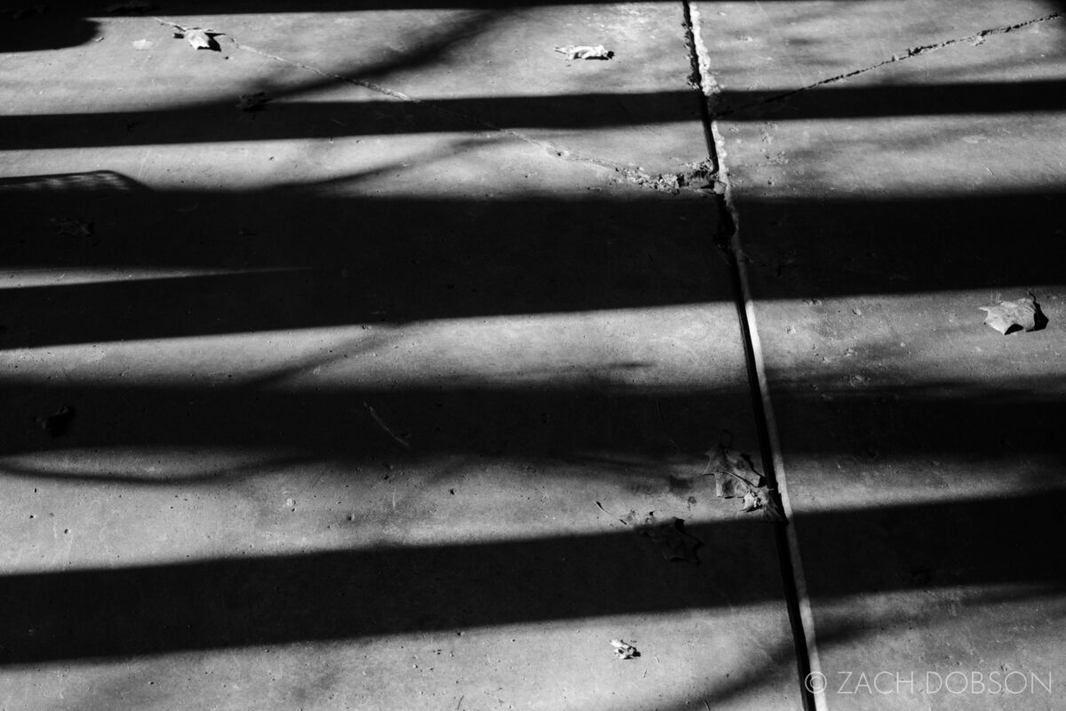 black and white shadows