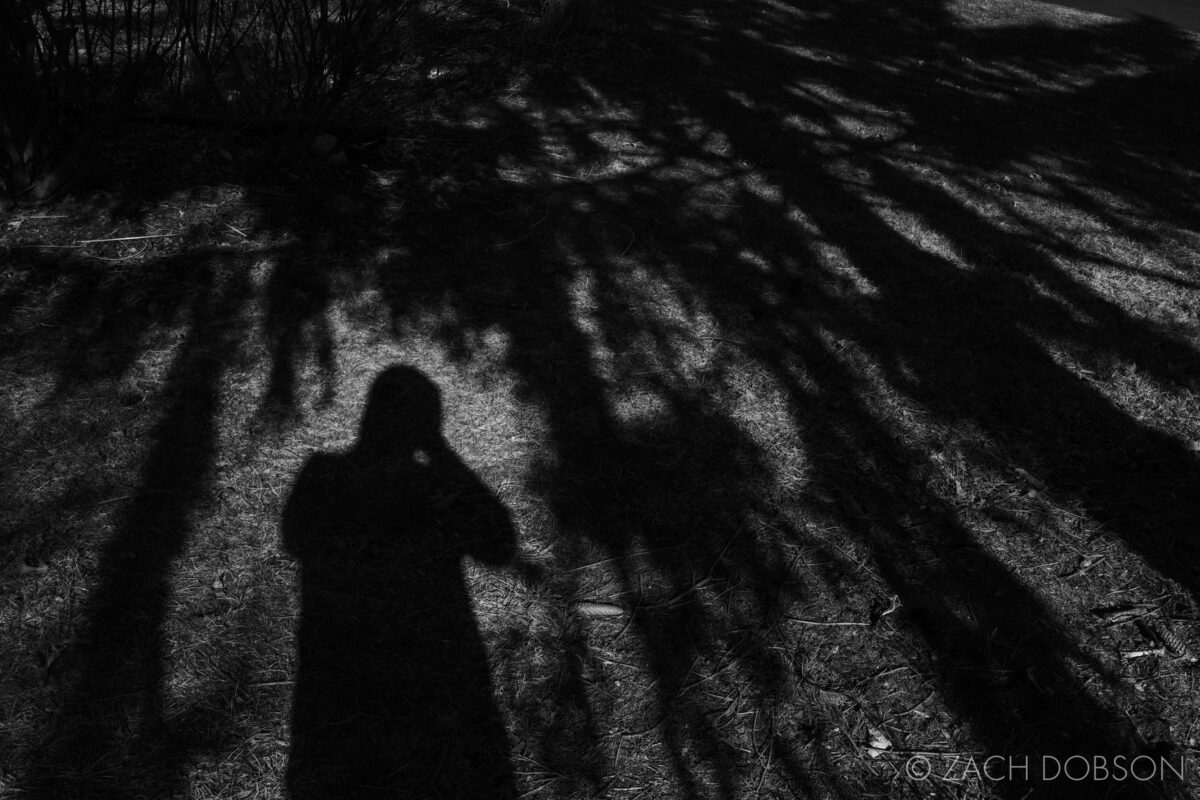 shadow self portrait