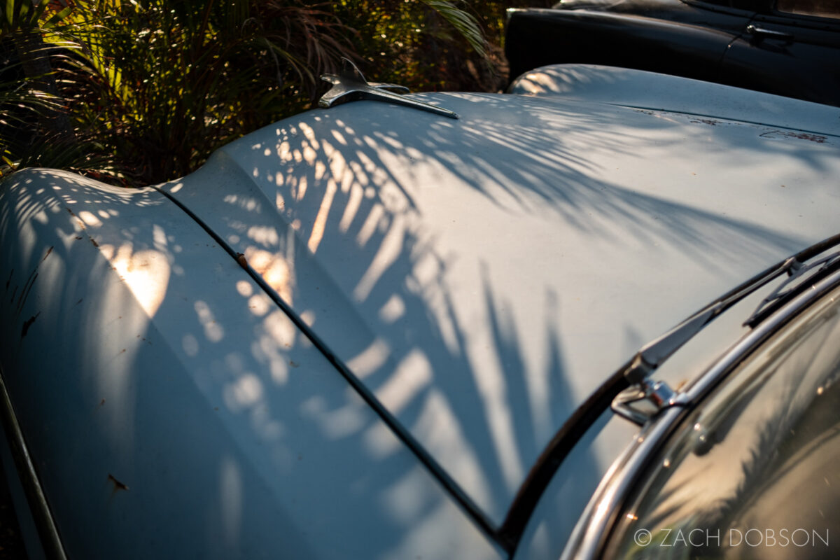 Old Packard automobile outside Homestead Florida Cuban restaurant Havana Spice