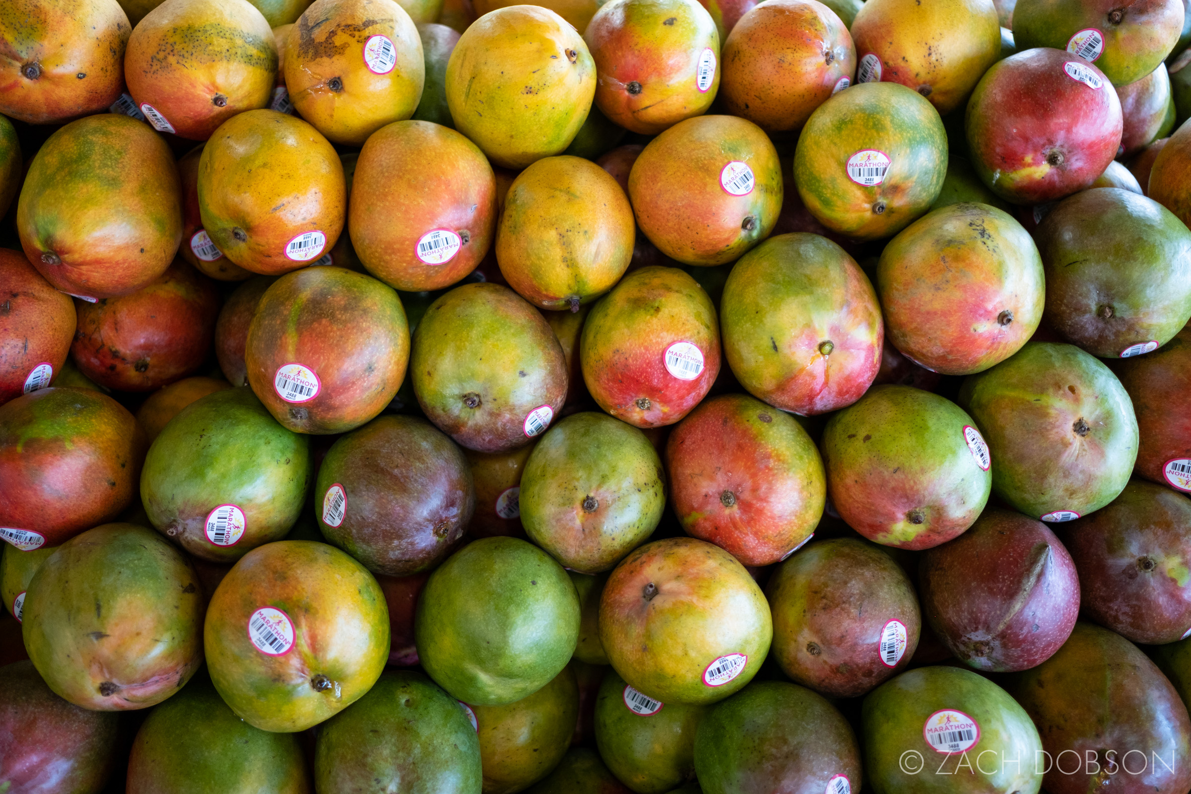 robert is here fruit stand homestead florida mangos