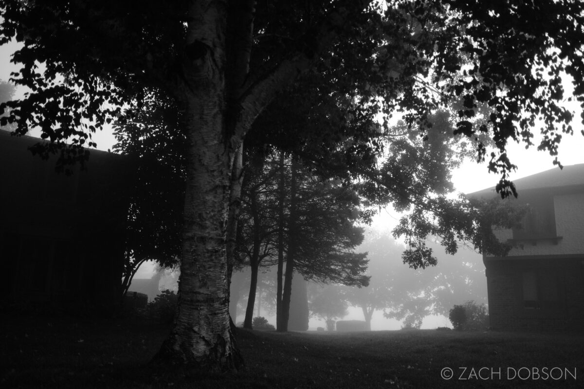 suburban neighborhood in the fog