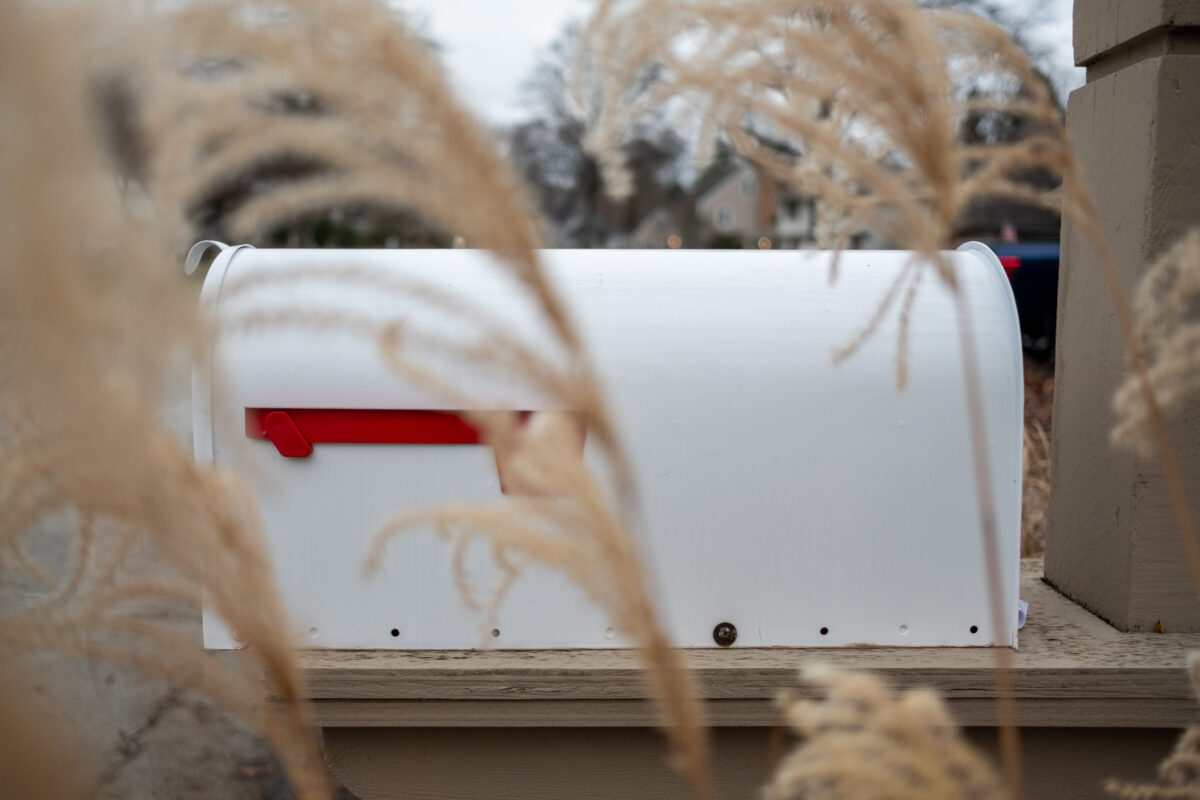 "Mailbox Obscured" ©Zach Dobson Top 10 Photos 2024  White mailbox with dried out tall grasses in front of it.