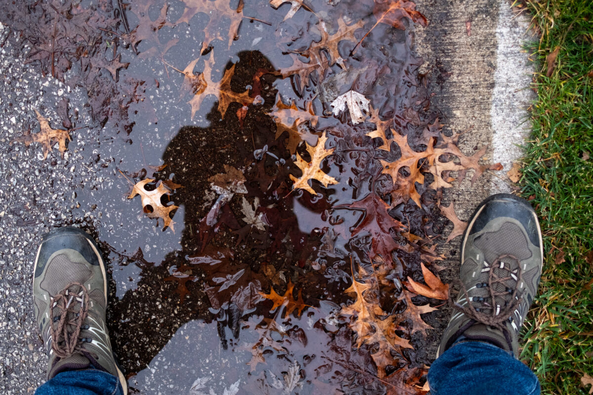 "Puddle Self" ©Zach Dobson Top 10 Photos 2024  Leaves in puddle along the side of suburban street. Silhouette of photographer reflected in the puddle. Green shoes at the bottom of the image.