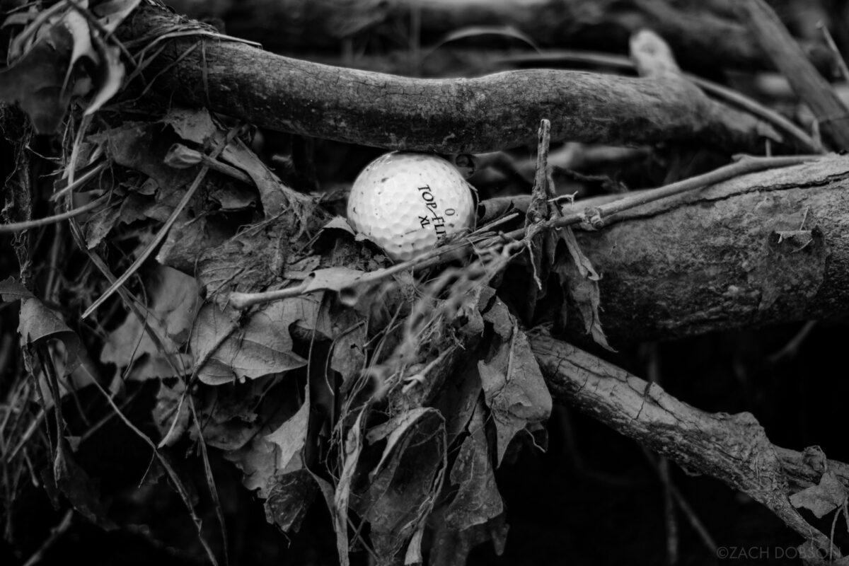 Black & white photo of a golf ball stuck in a tree's root system just above a creek. the ball reads 0 Top Flite XL. From the As It Lies photo book.