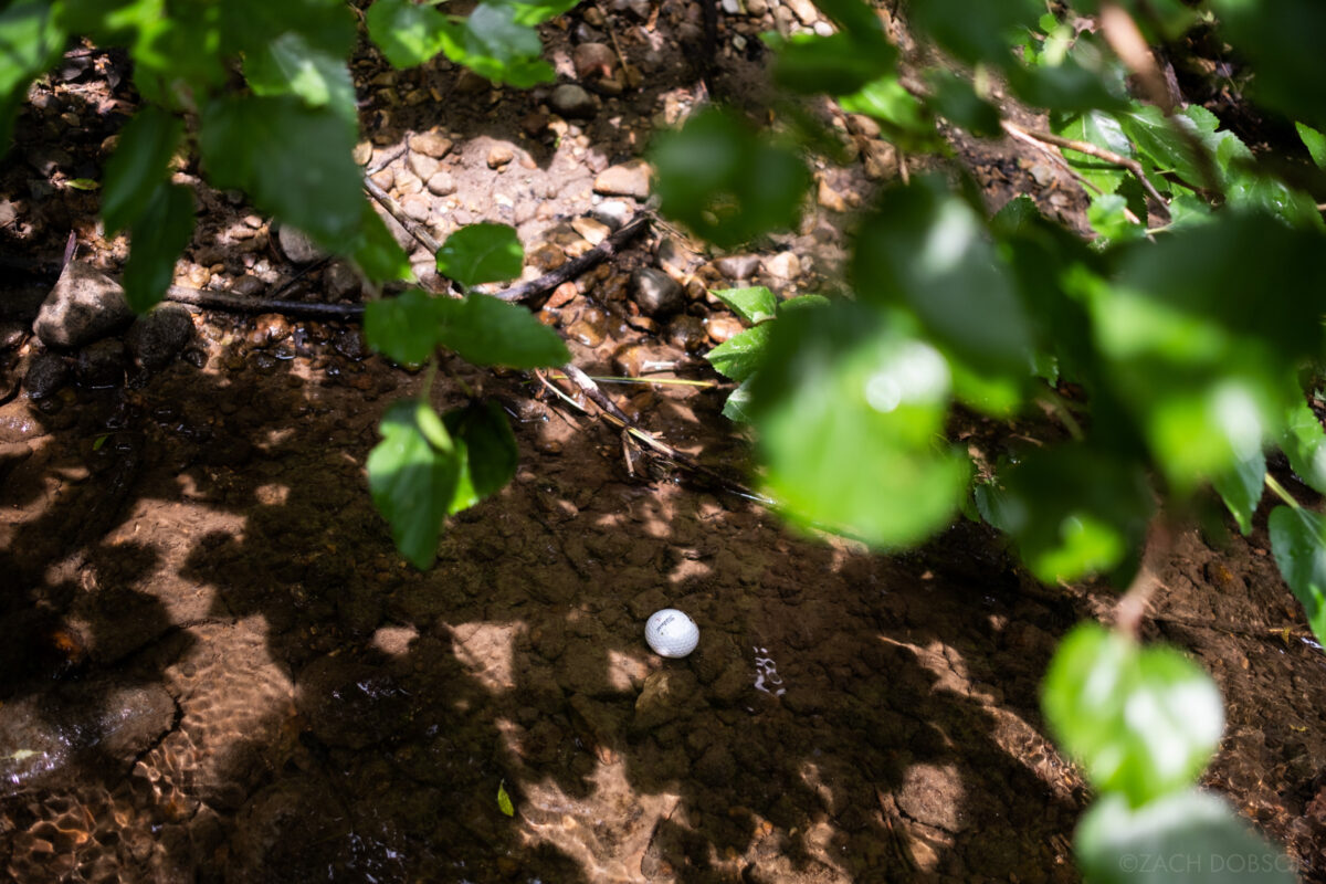 As it lies, a golf ball in a shallow creek bed with out of focus leaves in the foreground