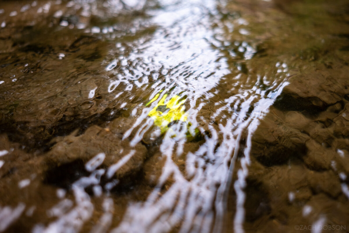 a yellow golf ball with a soccer ball print pattern just under the surface of rippling water