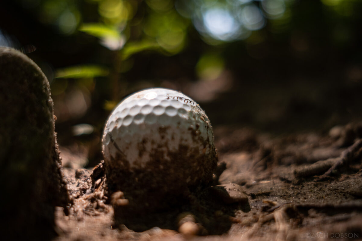 Close up of a lost golf ball in the woods for the As it Lies photo book.