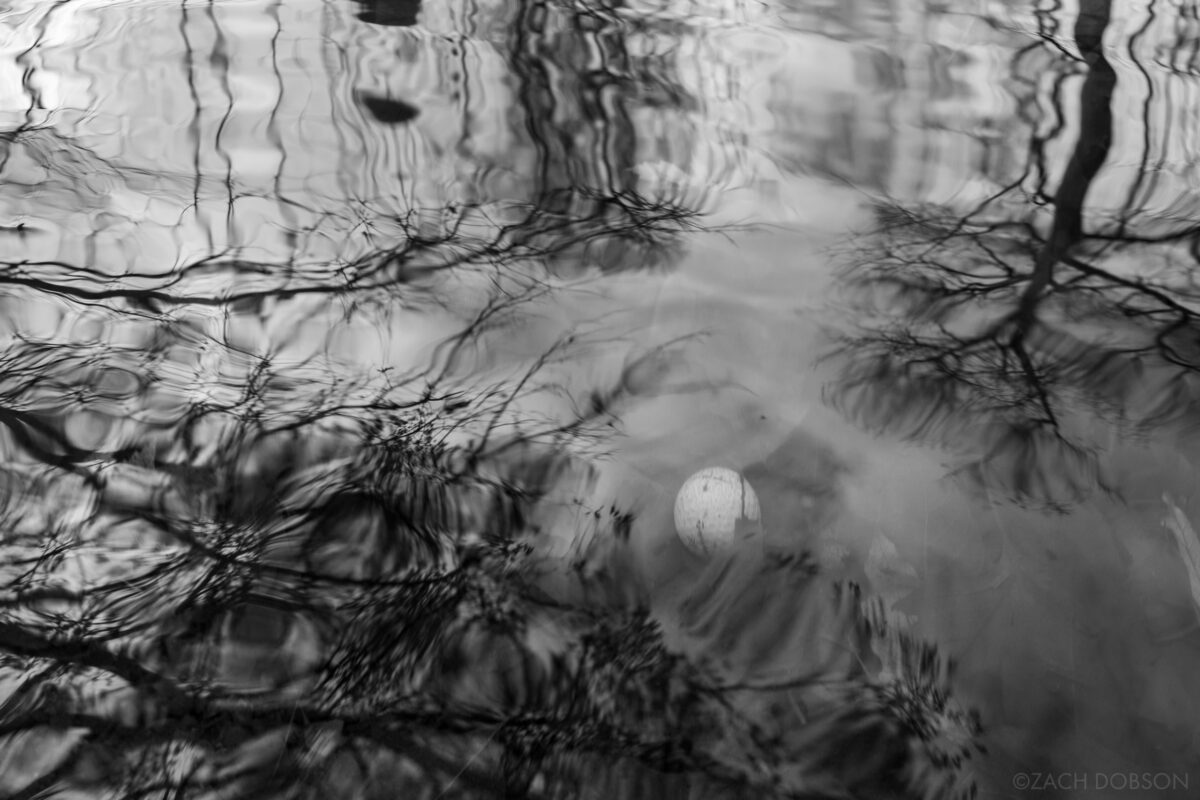 A lost golf ball underwater in a creek with black and white reflections of the trees. From the As It Lies book