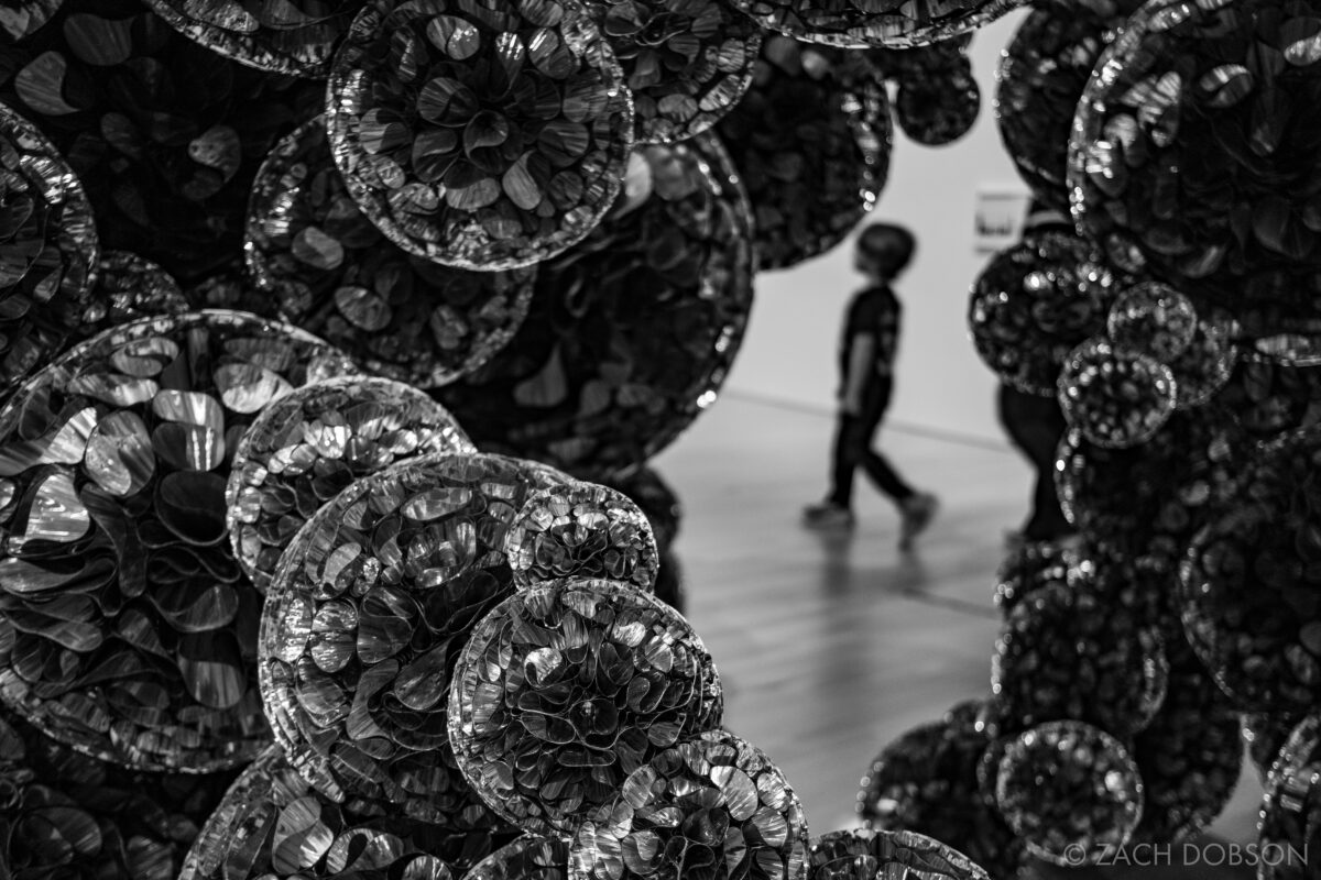 Indianapolis Museum of Art Galleries at Newfields. Untitled (Mylar) Tara Donovan